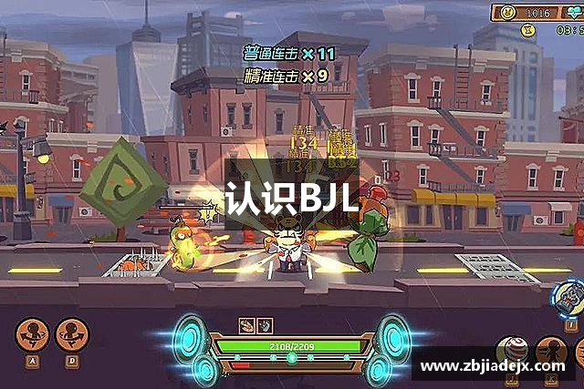 认识BJL